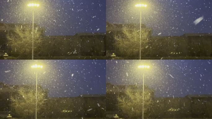 城市雪景 路灯下的大雪纷飞