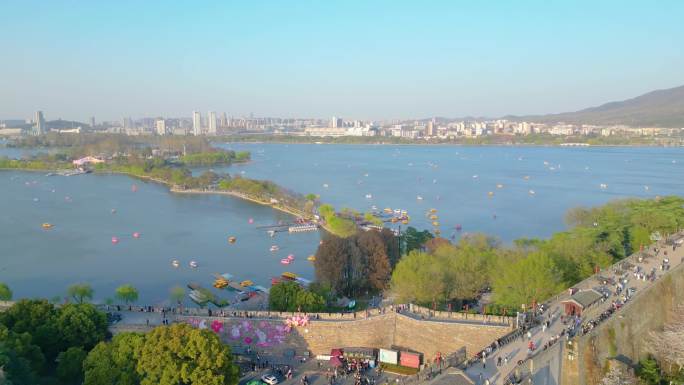 南京市玄武区玄武湖景区古鸡鸣寺樱花盛开风