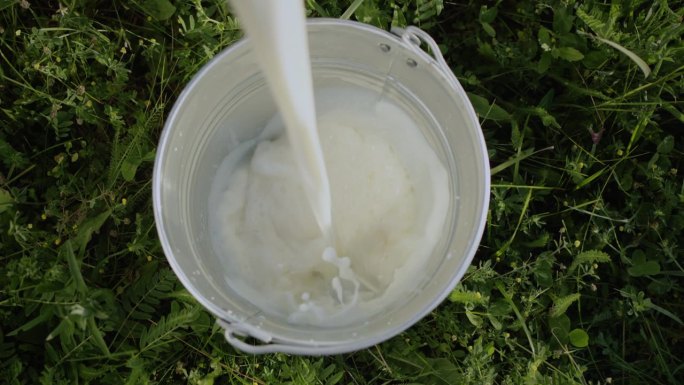 牛奶被倒进桶里。从上面看，桶立在绿色的草地上。慢动作4k视频