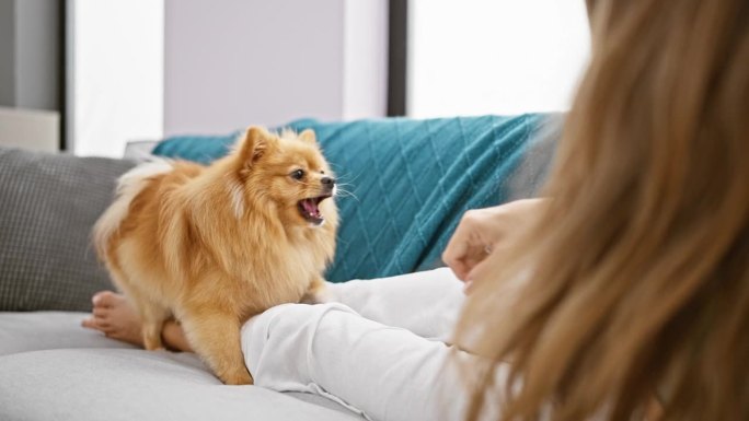 温馨的室内肖像画，一位年轻的西班牙妇女和她可爱的狗狗玩耍，躺在家里舒适的客厅的沙发上，散发着幸福和亲
