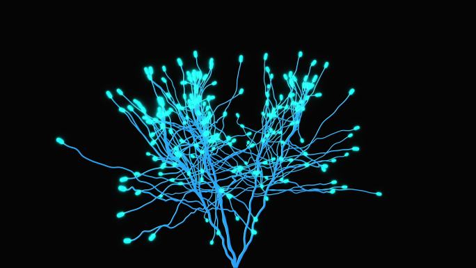蓝色科技感粒子树生长植物生长通道素材