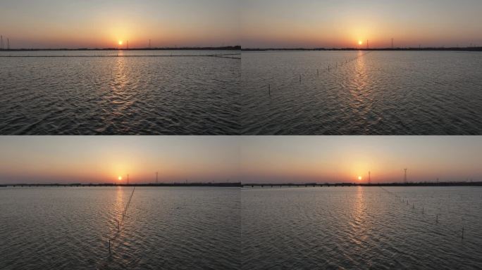 广袤湖面水面上飞向太阳朝阳夕阳充满希望