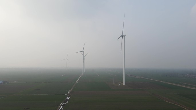 河南农村冬天麦地只有河南麦苗故乡天地10