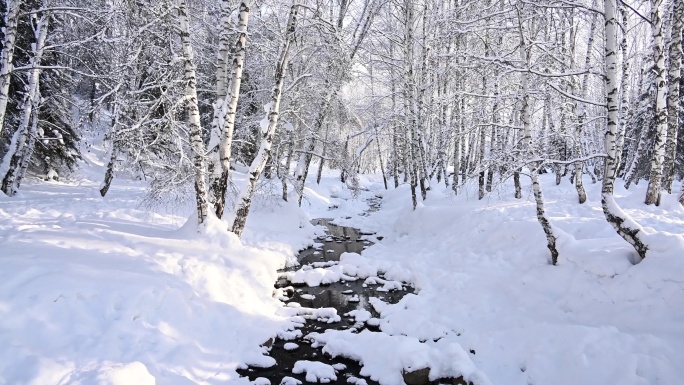 唯美雪景  空镜素材 雪中森林