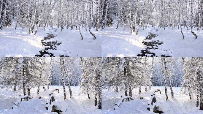 唯美雪景  空镜素材 雪中森林