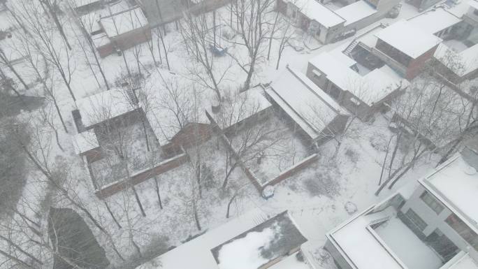 河南农村冬天下雪荒废房屋白茫茫一片5