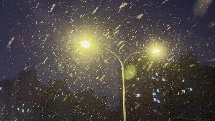 城市雪景 路灯下的雪花