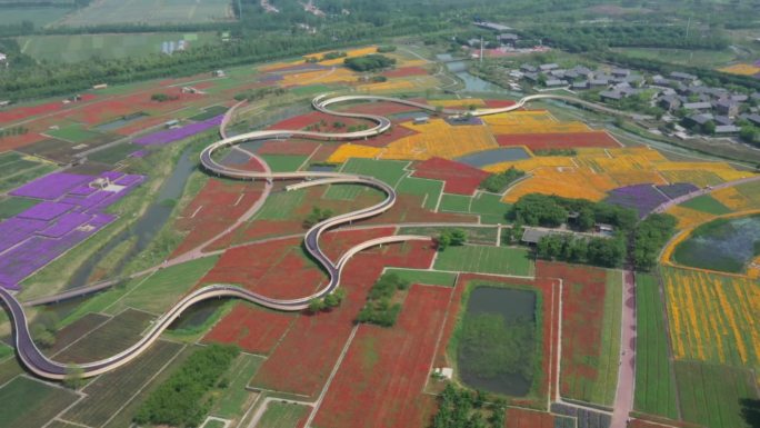 三台山花海