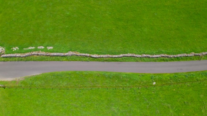 空中俯瞰:单轨乡村公路通向生动的绿色草地