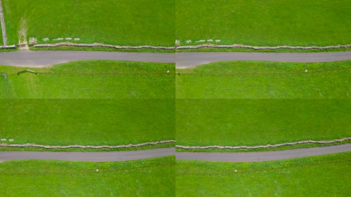 空中俯瞰:单轨乡村公路通向生动的绿色草地