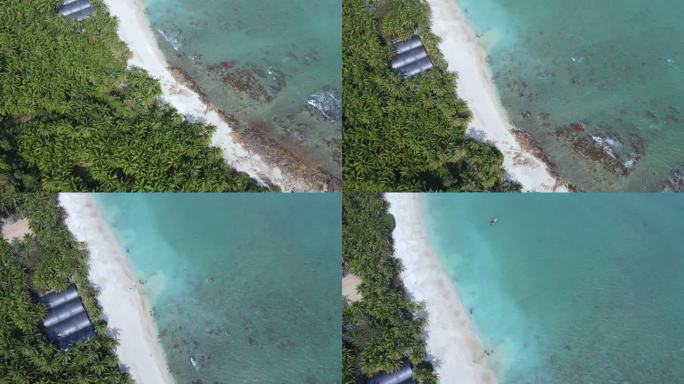 海南琼海博鳌的椰林海岸和碧绿大海