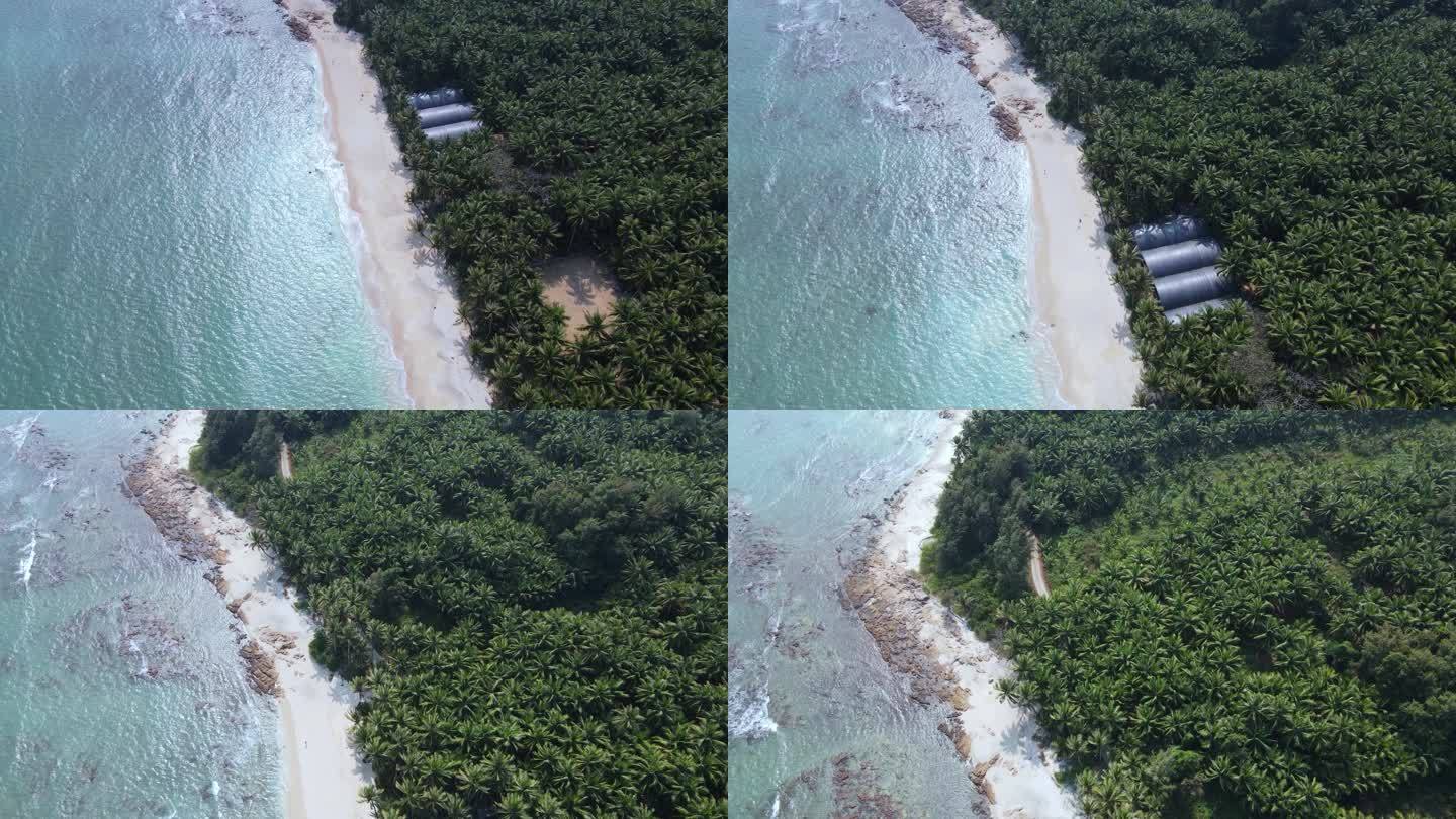 海南琼海博鳌的椰林海岸和碧绿大海