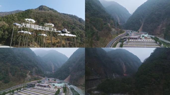 山区 自然资源 大熊猫公园 自然保护区