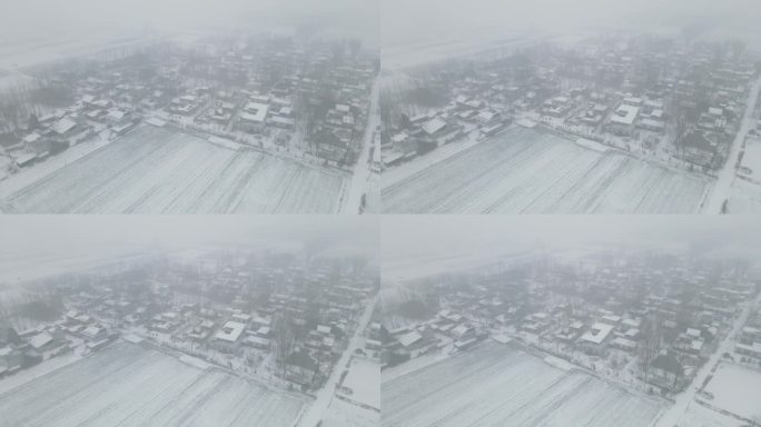 河南农村冬天下雪房屋田地白茫茫一片