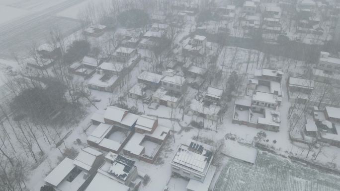 河南农村冬天下雪房屋田地白茫茫一片22