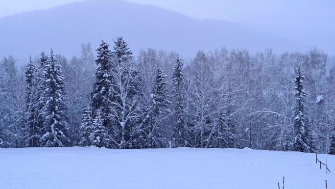 唯美雪景 下雪空镜