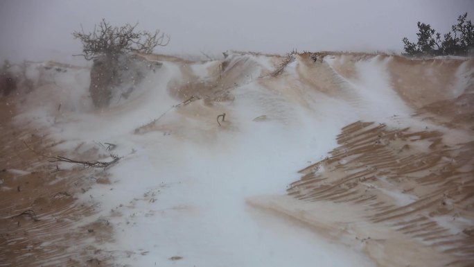 风雪