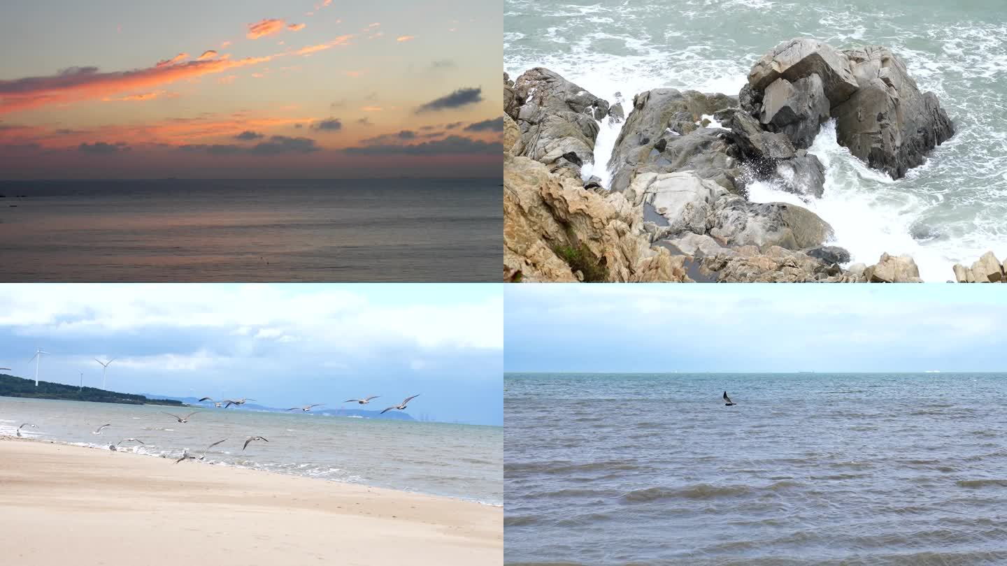 海边 日出 海鸥