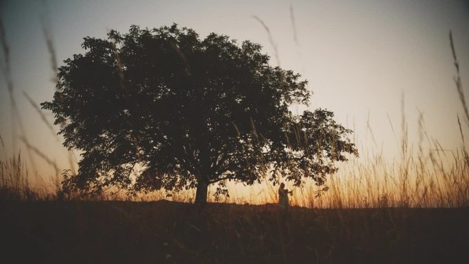 SLO MO中距离镜头，母亲抱着婴儿在巨大的剪影树下，在黄昏晴朗的天空