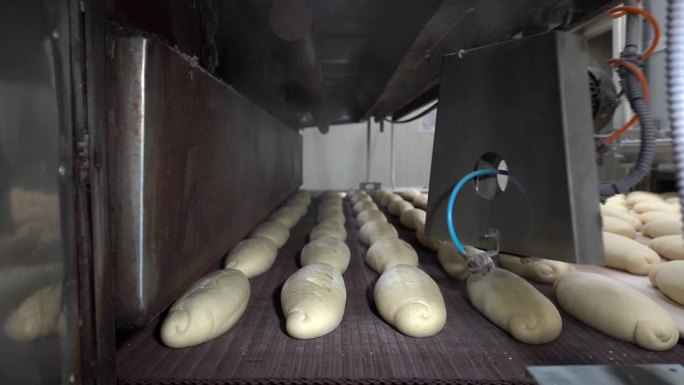 新鲜的面包进入工业面包烘烤隧道烤箱