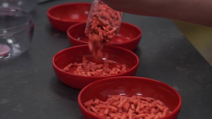 红碗里倒红粮粒。特写镜头