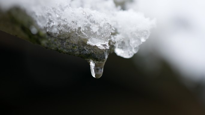 屋檐上的冰雪融化水滴落下特写