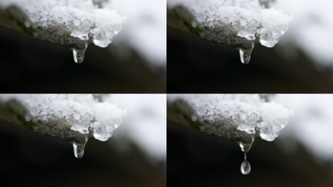 屋檐上的冰雪融化水滴落下特写