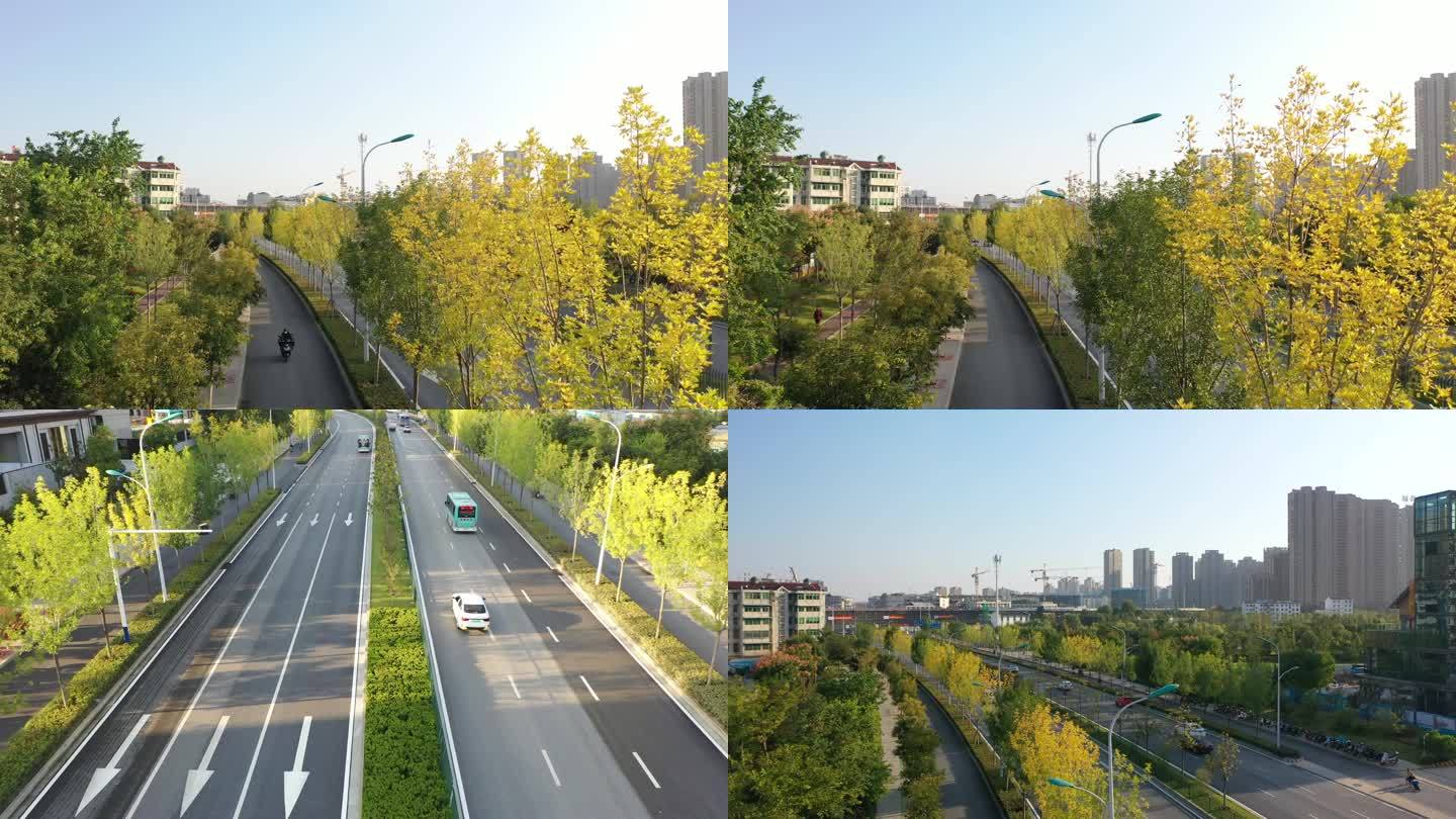 航拍城市道路绿化视频