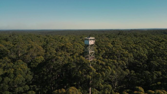 无人机在钻石树(Diamond Tree)顶部的消防瞭望台倾斜拍摄的照片，钻石树是西澳大利亚彭伯顿附