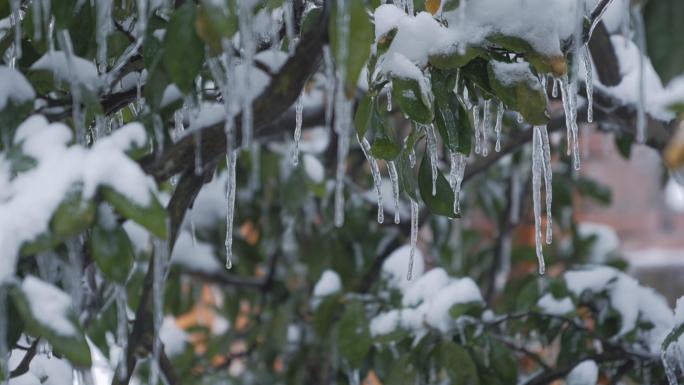 冬季冰雪消融融化化雪