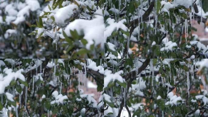 冬季冰雪消融融化化雪