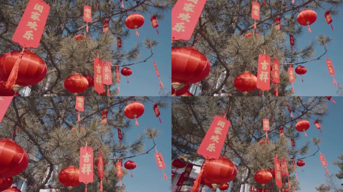 4K树上新年装饰灯笼祝福语街边装饰