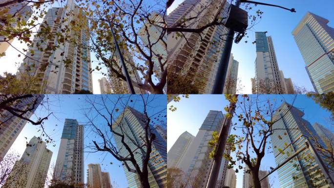 透过树枝叶子仰望高楼大厦城市风景视频素材
