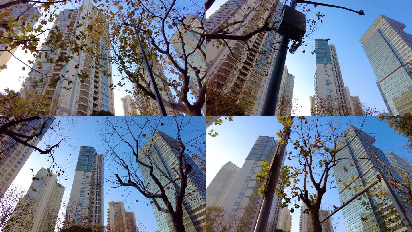 透过树枝叶子仰望高楼大厦城市风景视频素材