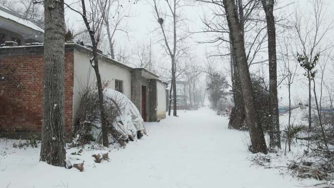 河南农村下雪大雪冬天道路