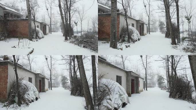 河南农村下雪大雪冬天道路