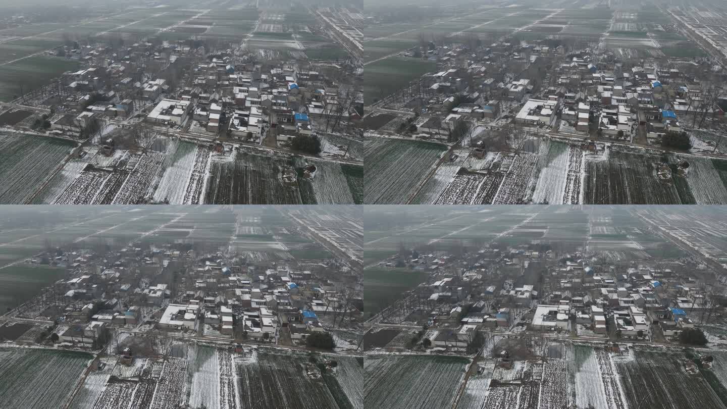 河南农村下雪后大风车田地麦地10