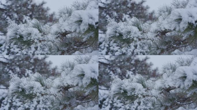 陕西汉阳陵雪景