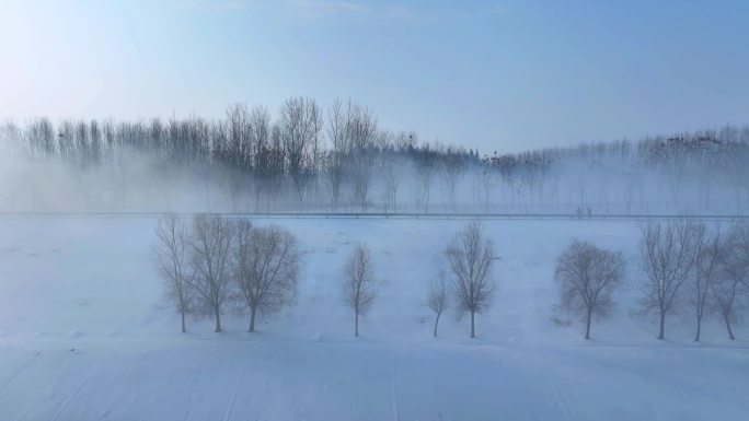 树林晨雾雪景