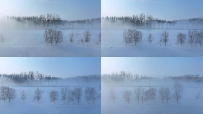 树林晨雾雪景