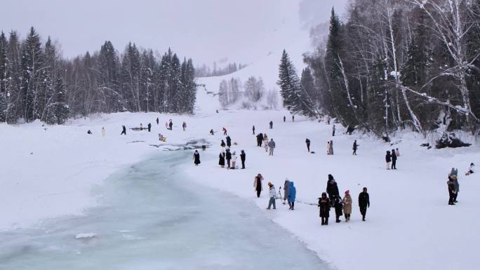 雪地里的游客 禾木桥游客
