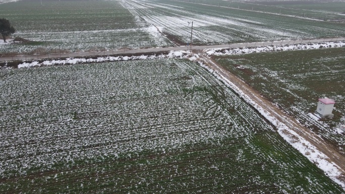 河南农村下雪后麦子田地道路3