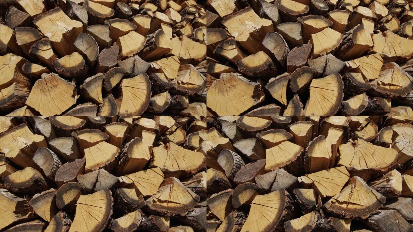 广角摄影摄影:多刺的橡木躺在地板上