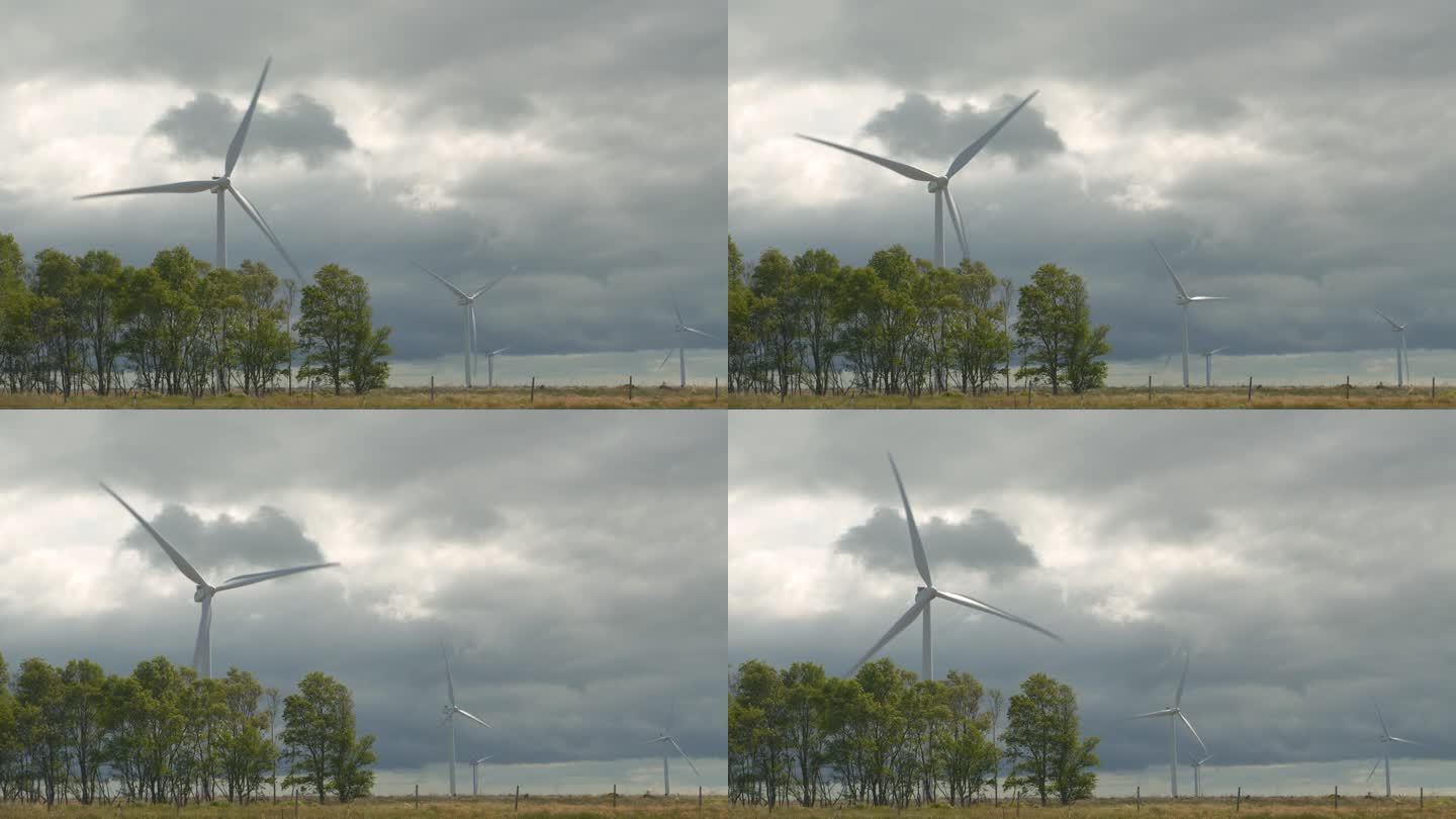在苏格兰高地的一个大风天，正在工作的风力涡轮机和摇曳的树梢