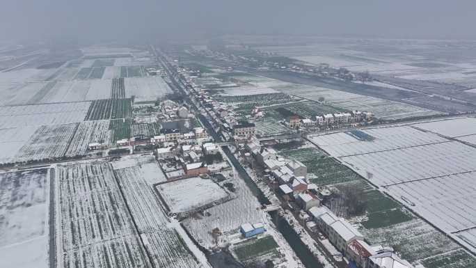 广袤平原农村乡间田野雪景航拍2