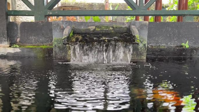 水流镜头。锦鲤鱼塘水循环视频。