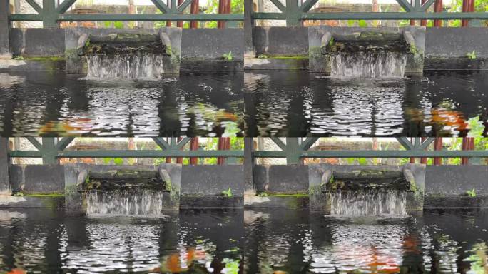 水流镜头。锦鲤鱼塘水循环视频。