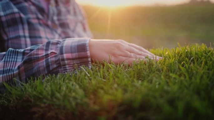 一个女人的手抚摸着绿色的草芽。自然环保理念