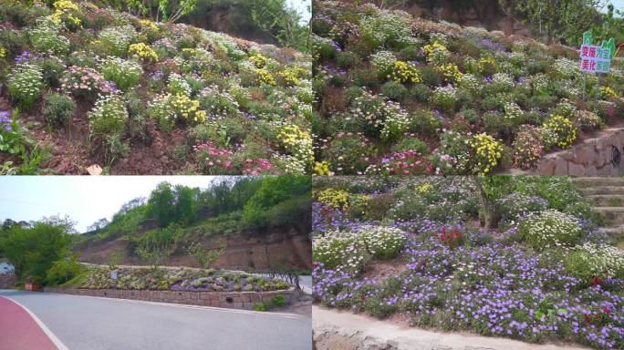 美丽乡村公路花坛花草美化