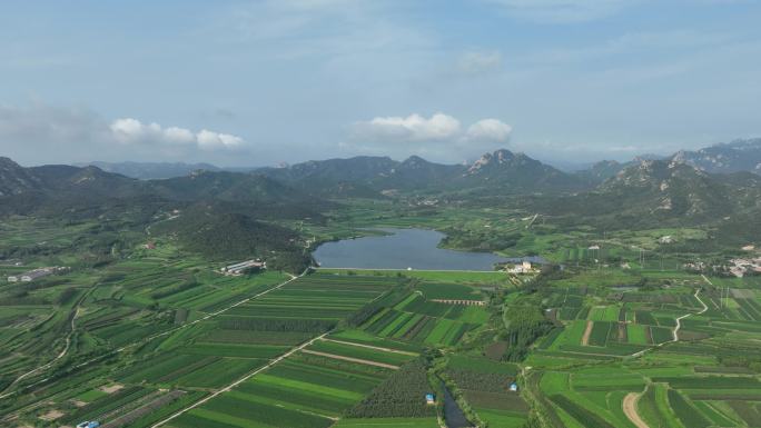 山脉风景平流雾延时